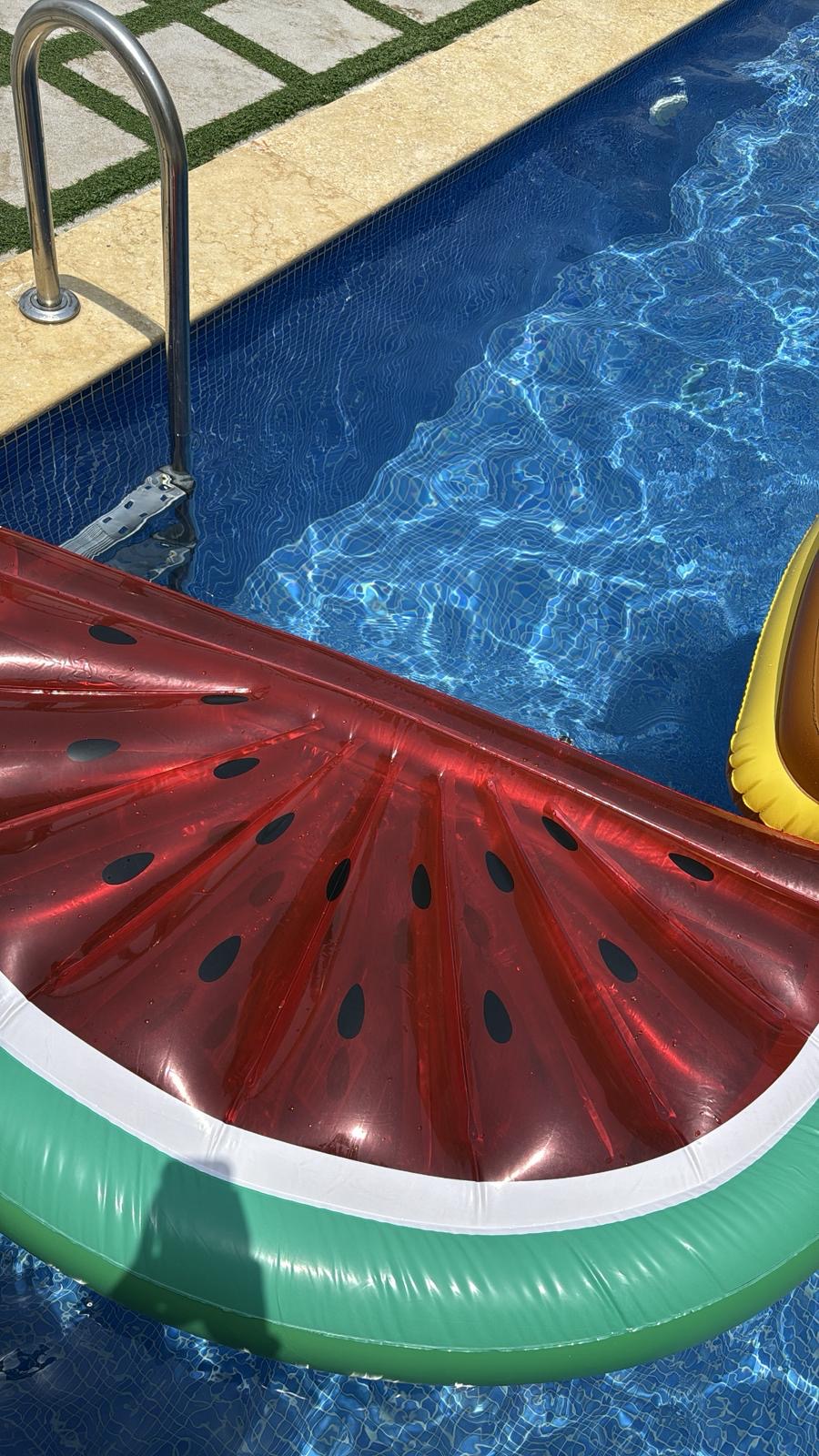 Thumbnail 2 for Watermelon float